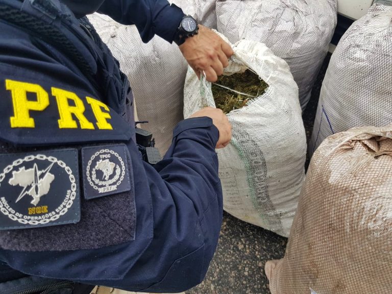 Crimes de morte, tiros e tráfico de drogas nas Rapidinhas Policiais do Blog