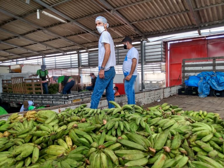 Governo de PE conclui montagem de 20 mil kits alimentares em 45 municípios