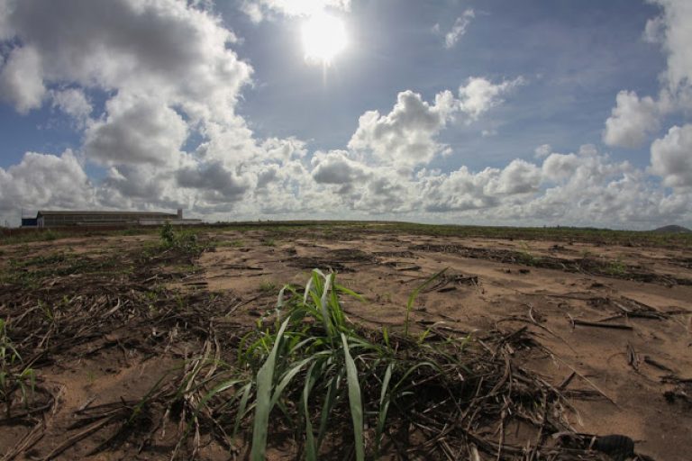 Sobe para 114 número de cidades de Pernambuco em situação de emergência devido à estiagem