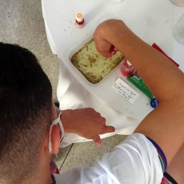 Socioeducandos participam de mostra virtual de ciências em Vitória de Santo Antão