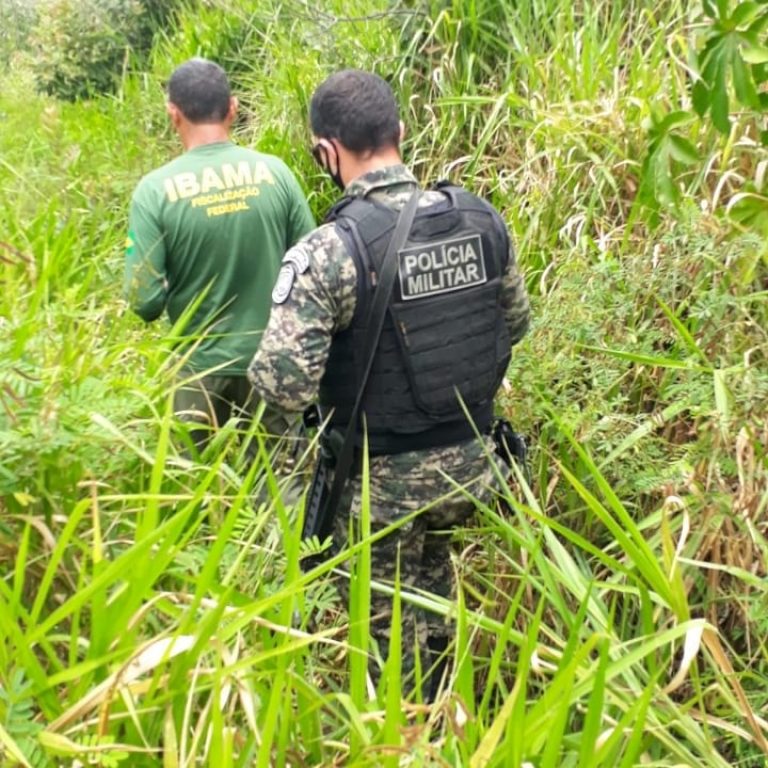 Desmatamento ilegal e outros crimes ambientais são punidos com multas na Mata Sul