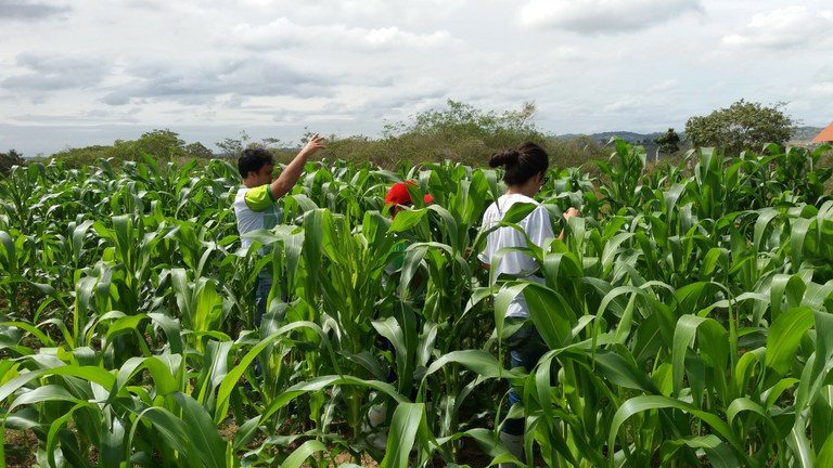 IFPE Vitória tem projeto selecionado em edital nacional do AgroResidência