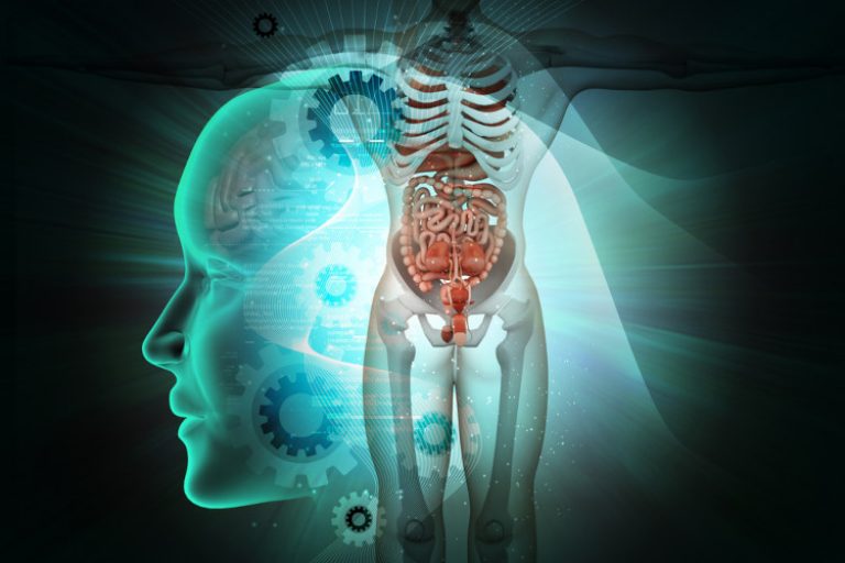 UFPE Vitória ganha primeiro curso de doutorado em parceria com a Sociedade Brasileira de Fisiologia