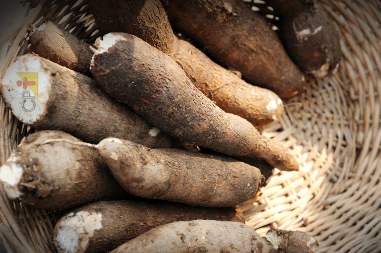 Agricultoras de Feira Nova recebem capacitação no IFPE Vitória