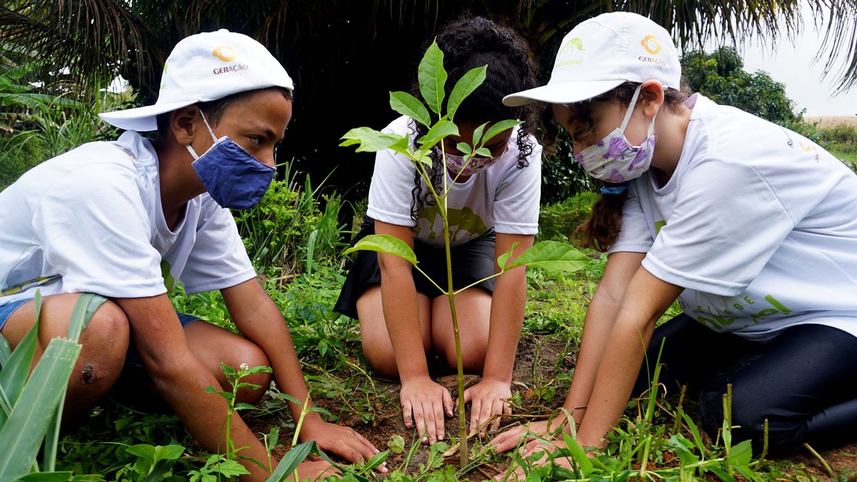 Pombos: crianças e adolescentes protagonizam plantio de árvores
