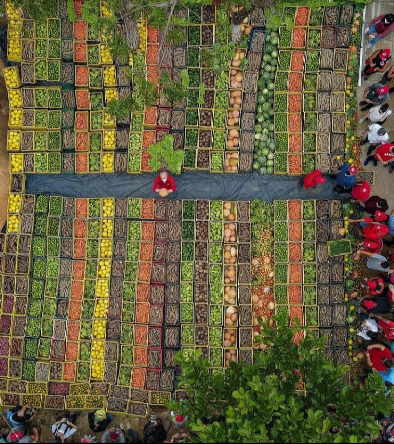 Lula conheceu em Moreno agricultura familiar produzida em assentamento