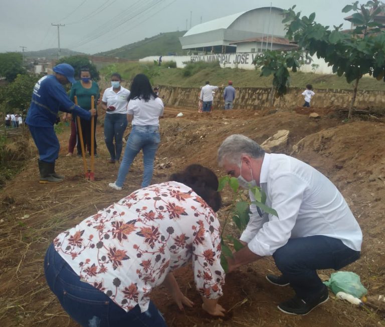 Iniciado reflorestamento e arborização em áreas públicas de Pombos