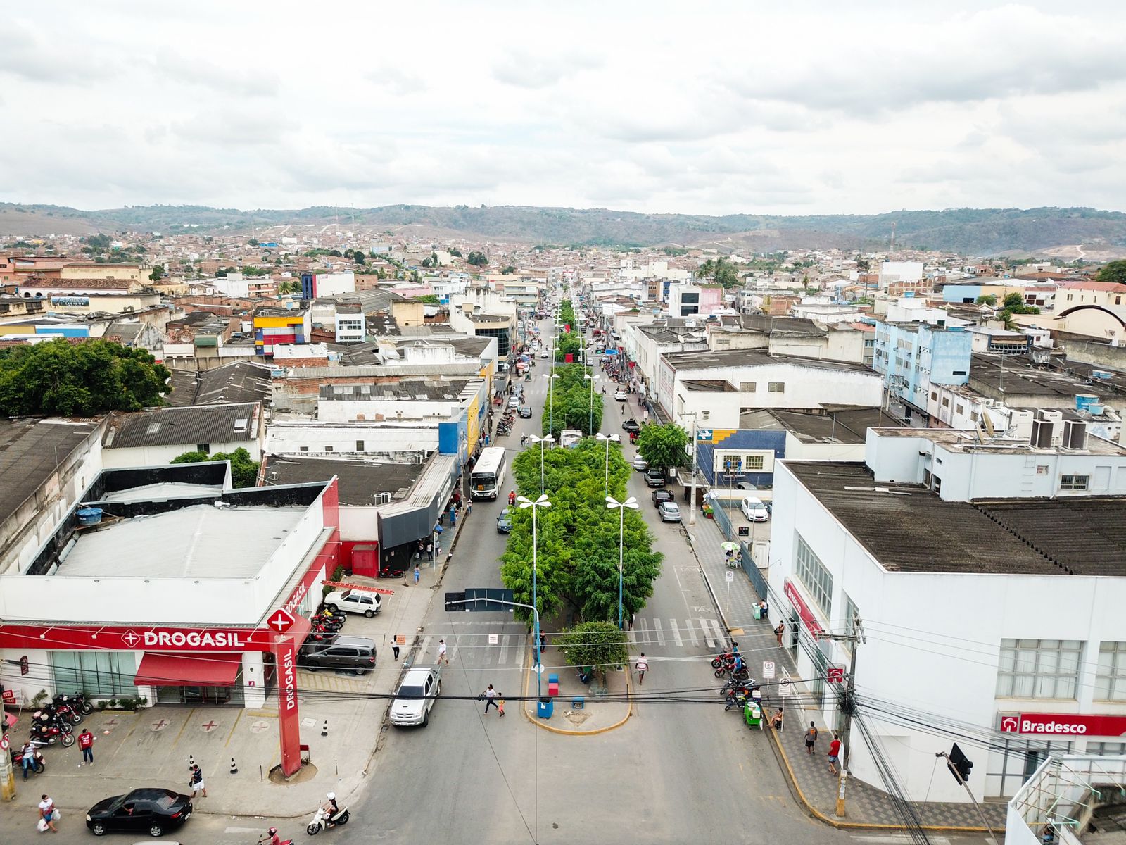 AMAVISA diz que árvores da Av. Mariana Amália são inadequadas