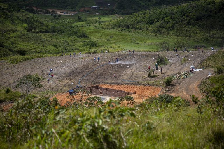 Plantando e colhendo alimentos, MST tenta diminuir a fome