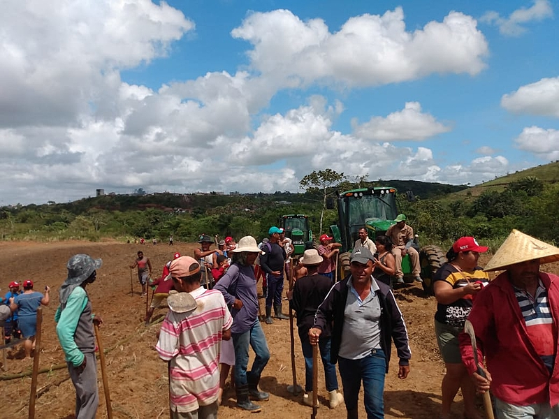 Famílias agricultoras acusam usina de invadir e destruir plantação em Moreno