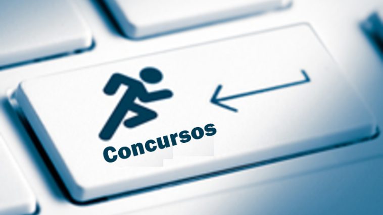 Passei Direto lança conteúdos exclusivos para concursos públicos