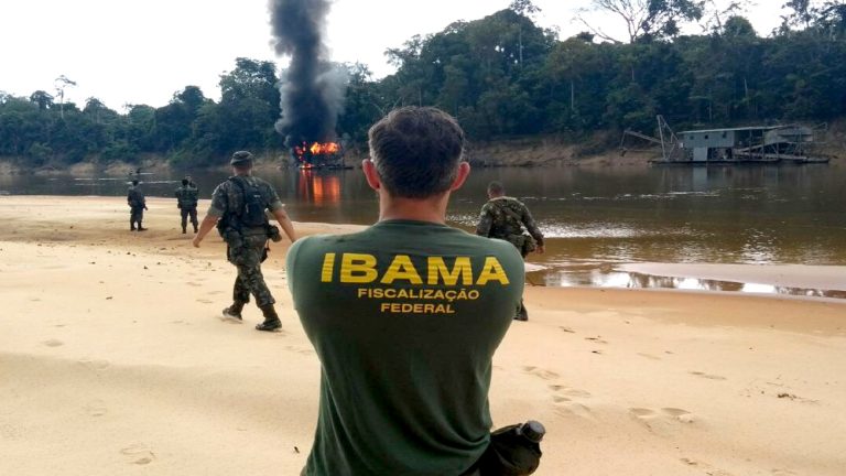 Ibama abre concurso com 568 vagas