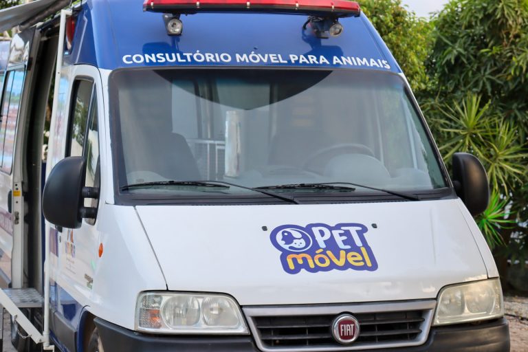 INÉDITO: Prefeitura da Vitória implanta Pet Móvel e lar temporário para animais de rua