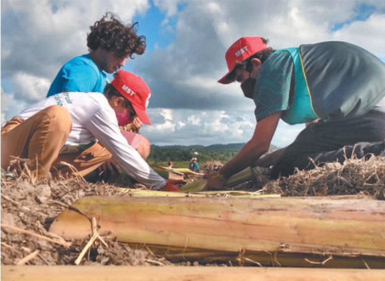 Vetos a despejo e desocupações beneficiam 2.156 famílias rurais em Pernambuco