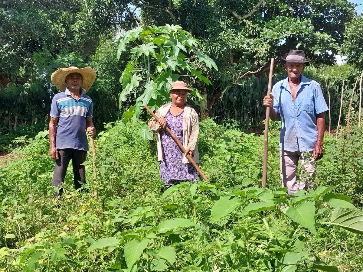 Em Lagoa de Itaenga, ASSIM lança projeto com idosos e agricultores