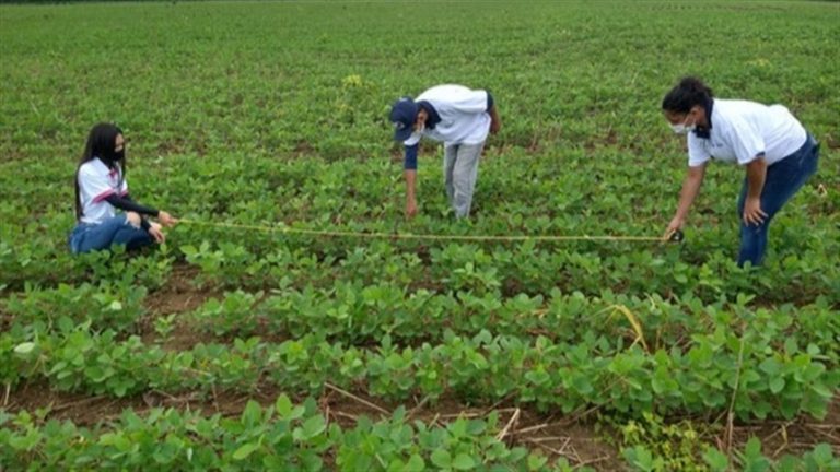 Aprovados dois projetos do IFPE Vitória no Programa de AgroResidência do Ministério da Agricultura