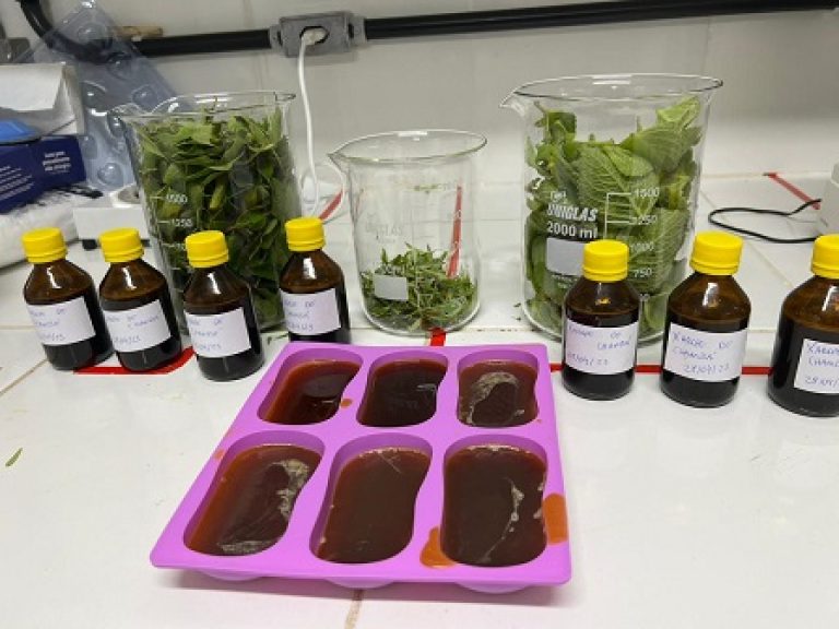 Farmácia Viva, da UFPE Vitória, lança cartilha sobre plantas medicinais e remédios caseiros após oficinas em Pombos