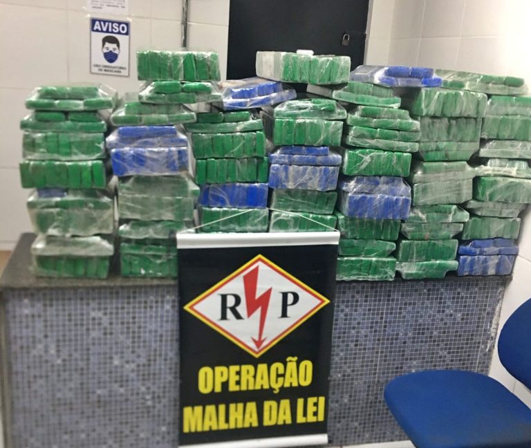 PMPE apreende 345 kg de maconha no Município de Chã Grande