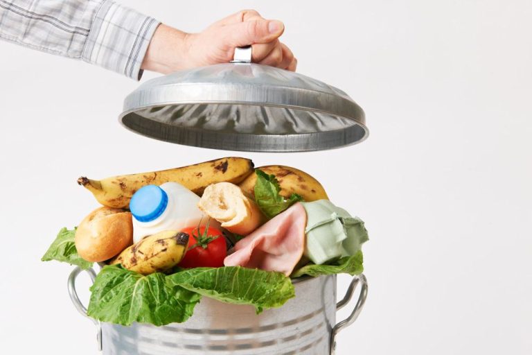 Instituto BRF e Lemobs implementam solução para reduzir o desperdício de alimentos em Vitória de Santo Antão