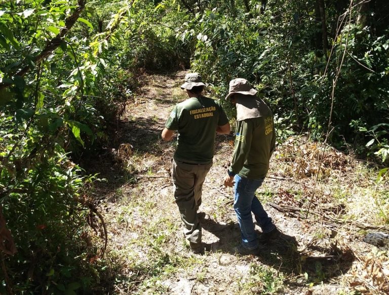 Ministério do Meio Ambiente abre concurso com 98 vagas de analista ambiental