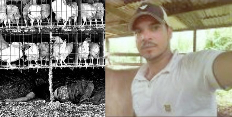Agricultor foi assassinado em granja de Glória do Goitá