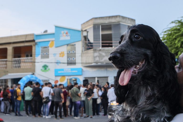 Vitória de Santo Antão agora conta com o Centro de Saúde Animal (CESA)