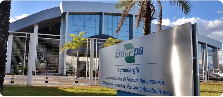 Embrapa anuncia concurso com 1.061 vagas e salários até R$ 12 mil; veja como se inscrever