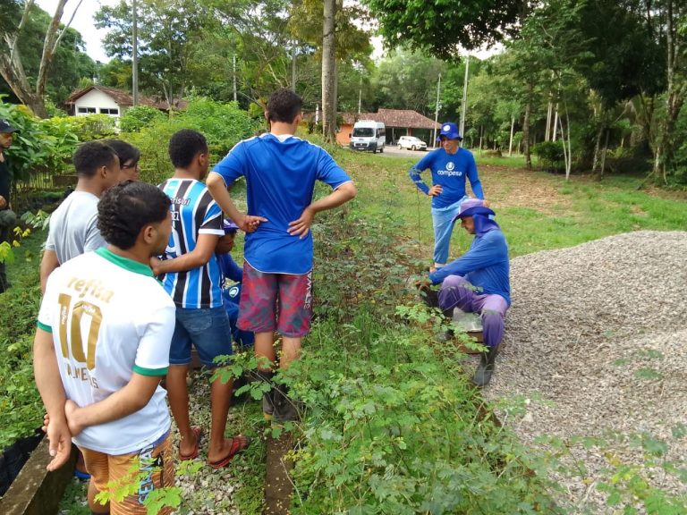 Socioeducandos na Funase Vitória concluem curso de viveirista florestal em Bonito