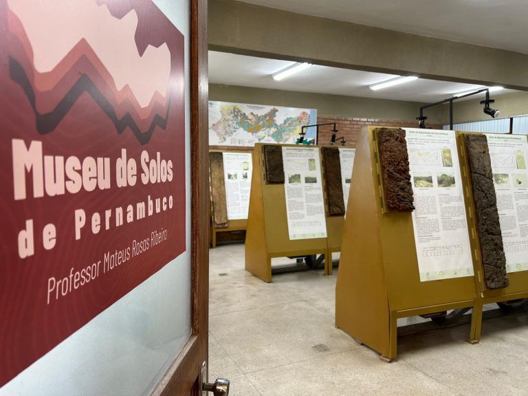 Museu de Solos de Pernambuco oferece curso de Educação Museal e Mediação Cultural; inscrição aberta