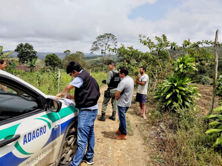 Adagro inicia ações de monitoramento e fiscalização para o combate à mosca-dos-estábulos no Agreste e Mata Sul