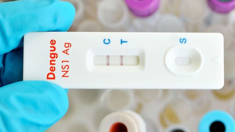Saúde anuncia distribuição de 87,6 mil testes rápidos inéditos para diagnóstico de dengue em Pernambuco
