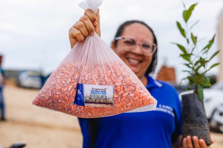 Prefeitura da Vitória de Santo Antão inicia entrega de três toneladas de sementes de milho