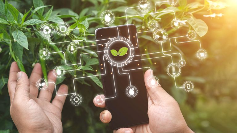 IFPE Vitória com inscrição para Pós-graduação em Tecnologias Sustentáveis nas Ciências Agrárias