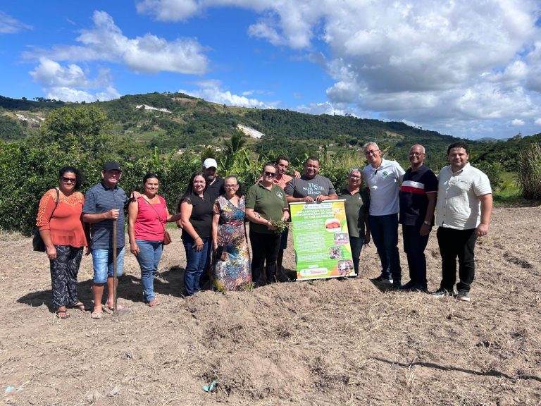 Agricultura de Chã Grande e IFPE unem forças para impulsionar cultivo de batata-doce biofortificada
