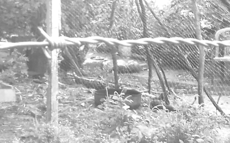 Idoso barbaramente assassinado no Distrito de Pirituba