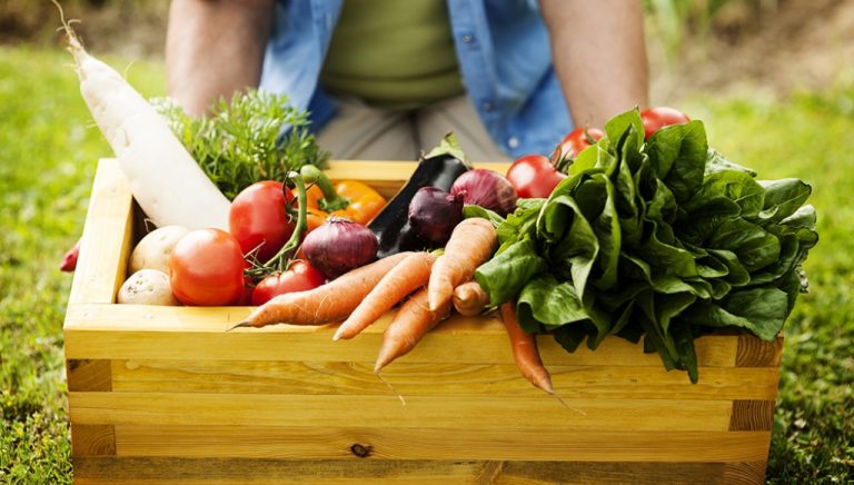 Conab apoia comercialização de 148,9 toneladas de produtos da agricultura familiar no interior pernambucano