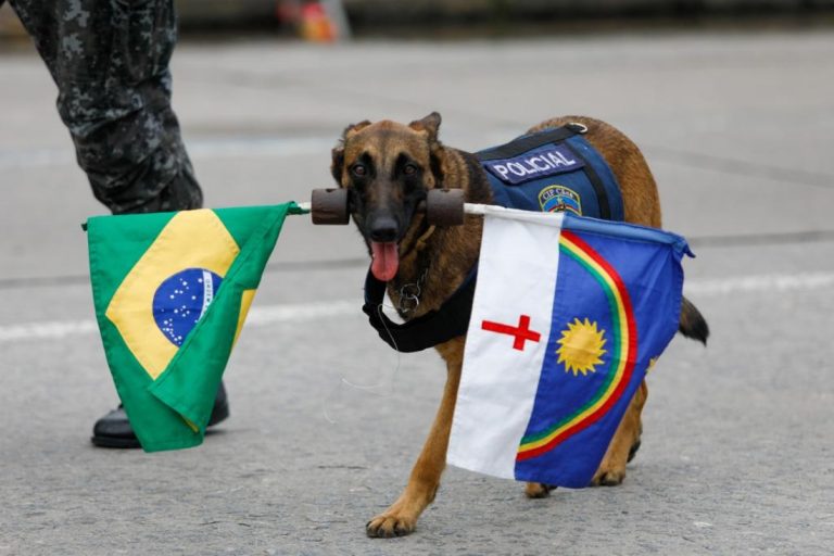 2026 é janela, não salvação