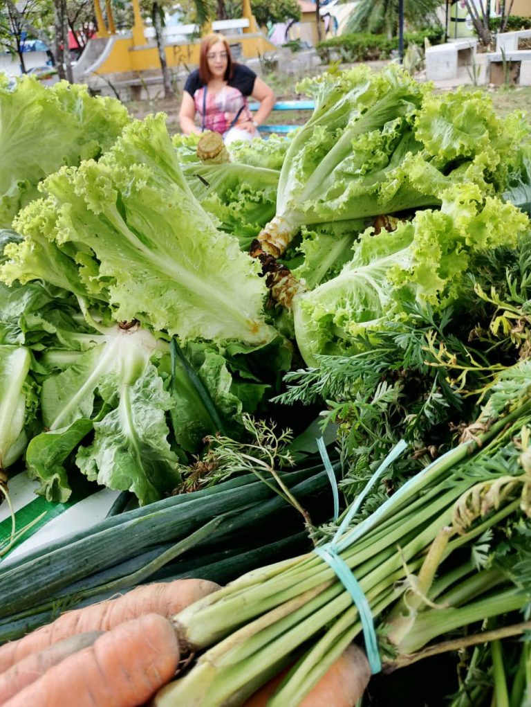 MPPE cobra de Vitória de Santo Antão reativação do Conselho de Segurança Alimentar e Nutricional