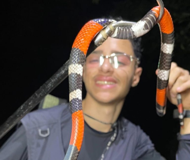 Biólogo vitoriense Davi Barros é hábil em resgatar animais silvestres