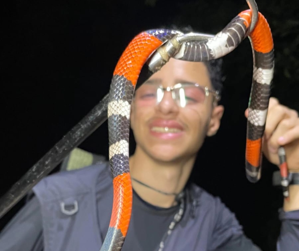 Biólogo vitoriense Davi Barros é hábil em resgatar animais silvestres