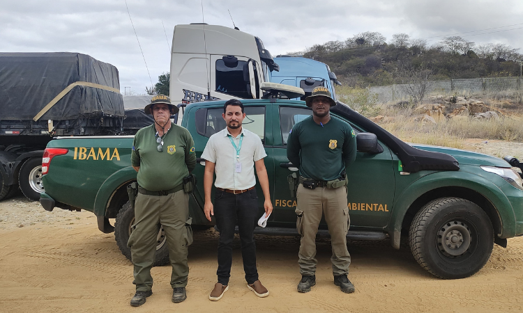 IFPE Vitória recebe doação de madeira apreendida pelo Ibama