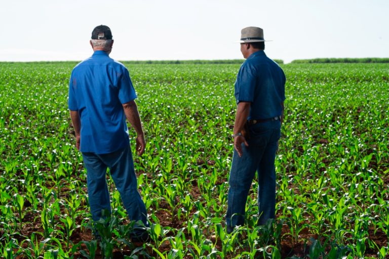 Carpina une agricultores, órgãos ambientais e crianças no Dia Nacional do Campo Limpo