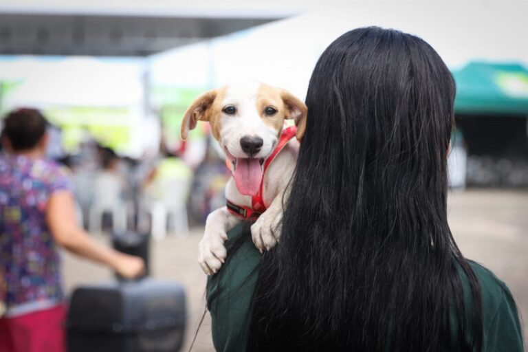 Mutirão de castração de cães e gatos segue em Vitória de Santo Antão até o dia 25