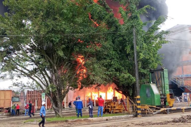 Incêndio atinge área isolada da Usina JB em Vitória de Santo Antão