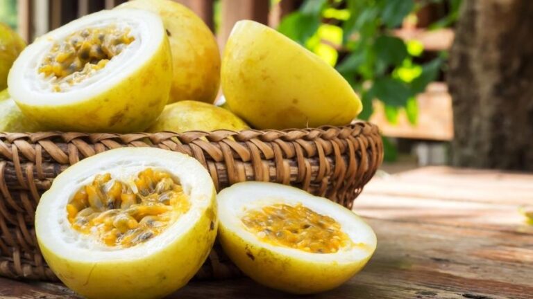 Produção Agrícola de Goiaba e Maracujá tem oferta relevante em Vitória de Santo Antão